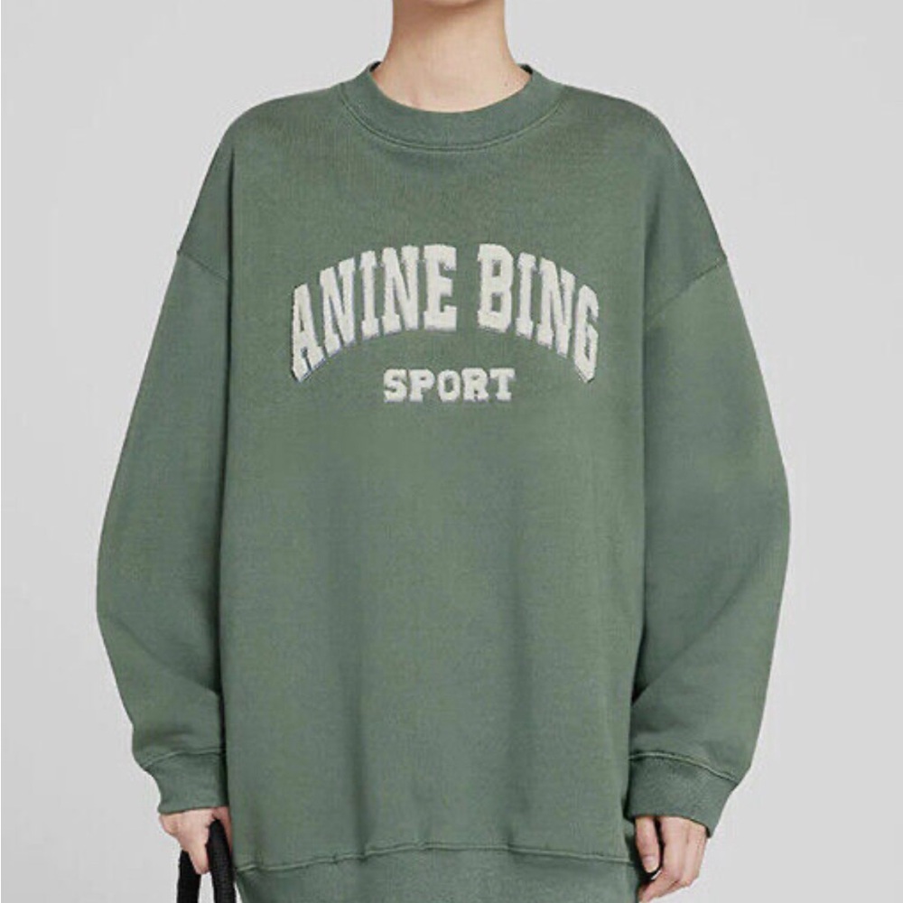 Anine bing tyler sweatshirt, small
